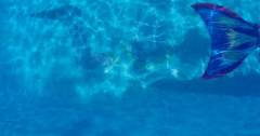 MERMAIDS SEEN IN THE BERMUDA TRIANGLE - bbb news